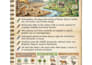 create aesthetic visual study notes and infographic summaries for any subject